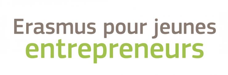 Erasmus Entrepreneurs: mobilité pour les entrepreneurs - En distanciel