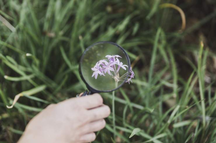 L’éveil à la nature pour la petite enfance : pourquoi et comment ?