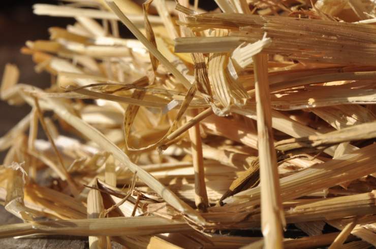 Formation Propaille (proche Lyon)