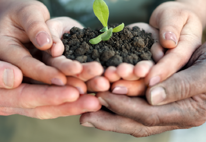 Formation-action : Impulser une stratégie de transition écologique dans sa structure
