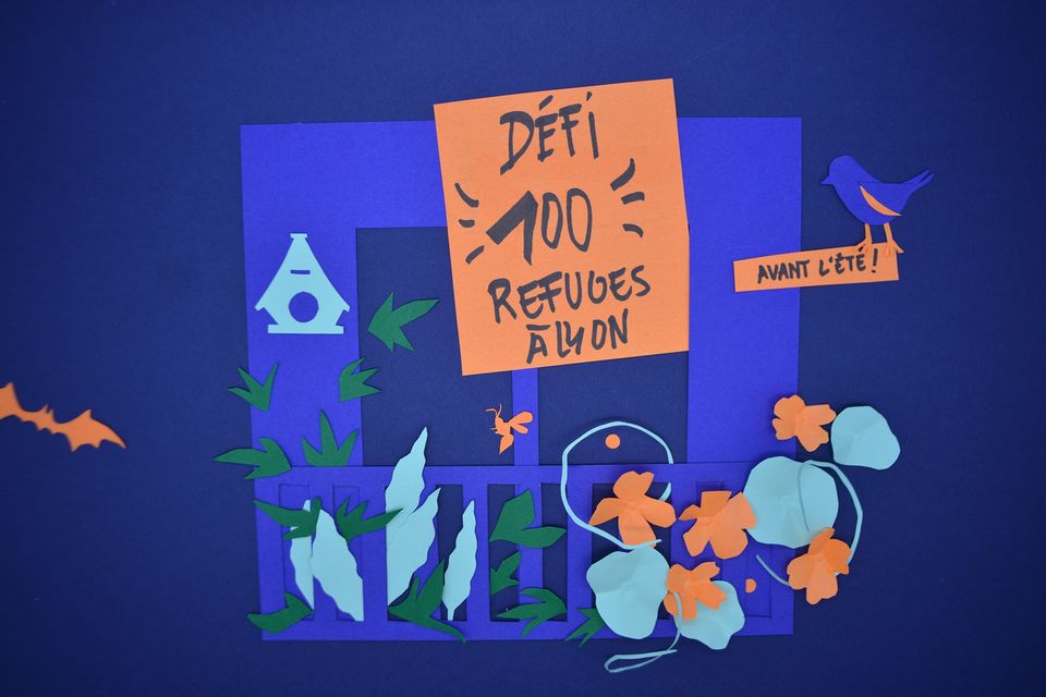 Ateliers : créez vos refuges de biodiversité – Lyon (69)