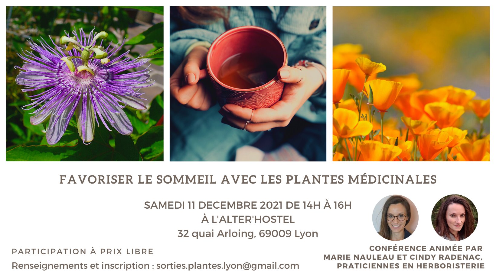 Conférence « Favoriser le sommeil avec les plantes médicinales » – Lyon (69)