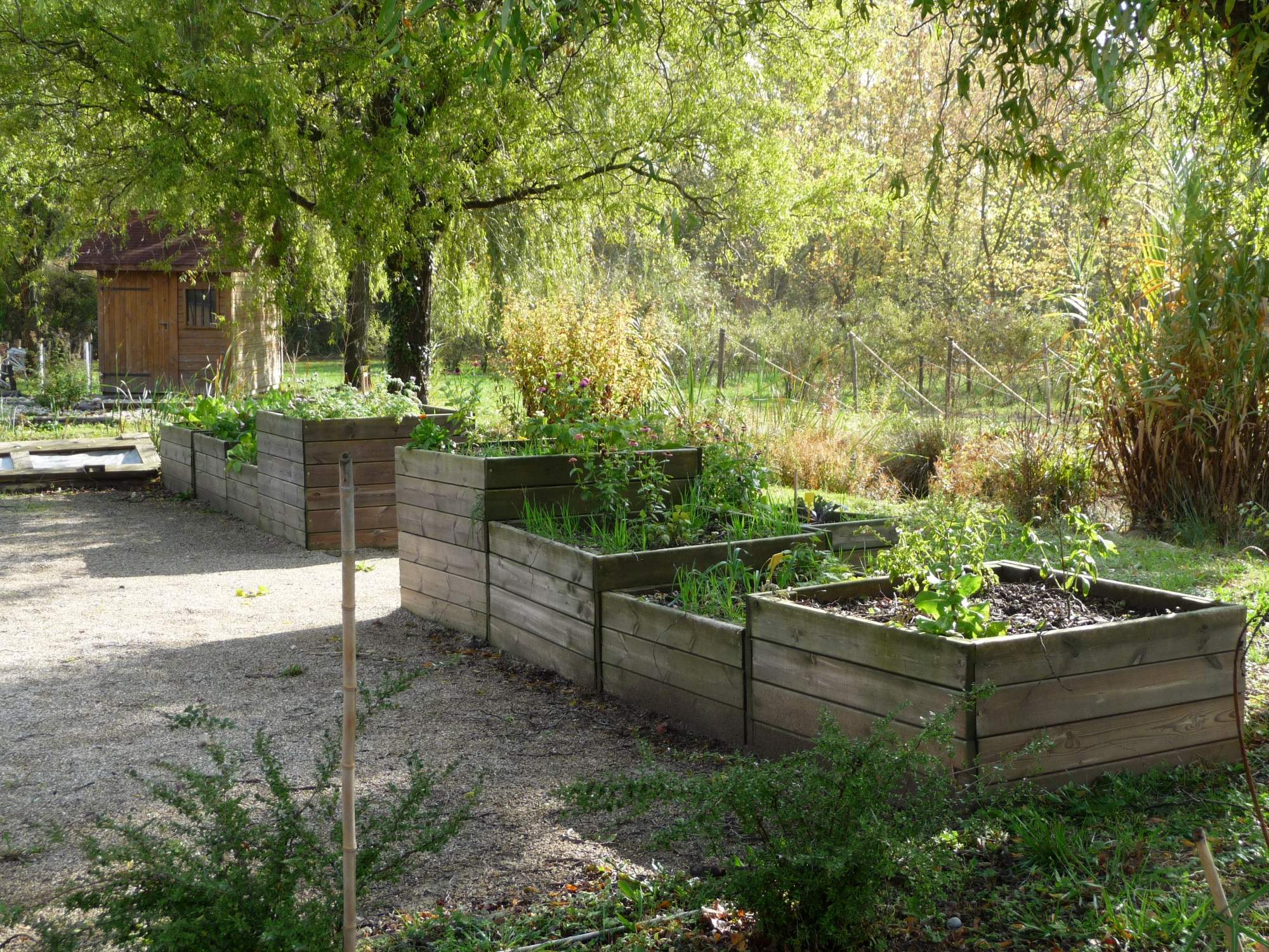 Des jardins partagés vivants et résilients