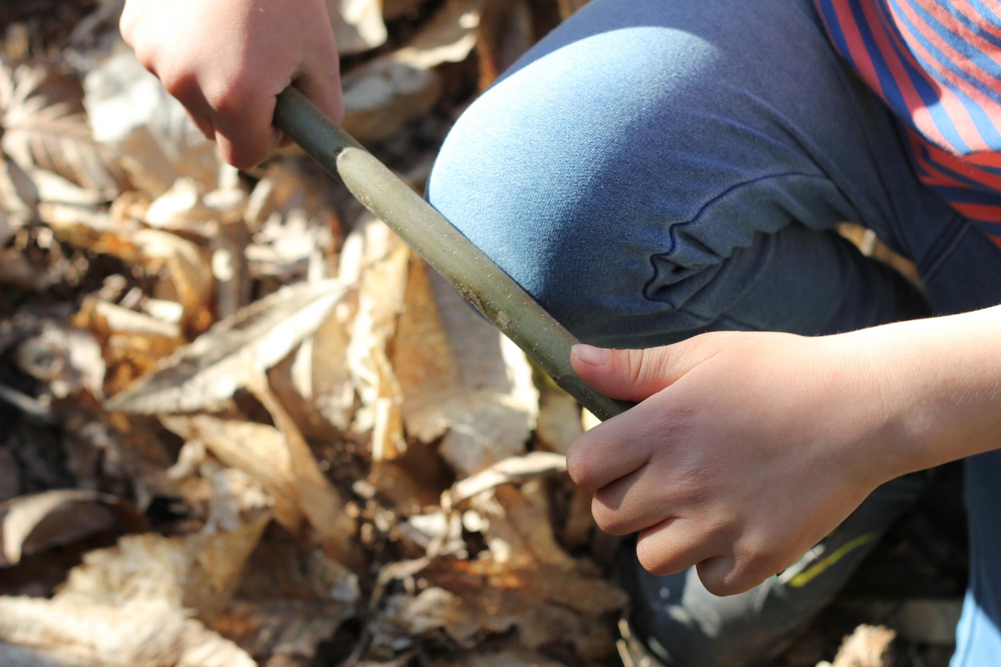 Ateliers de connexion à la nature pour enfants et en famille – Saint-Martin-en-Haut (69)