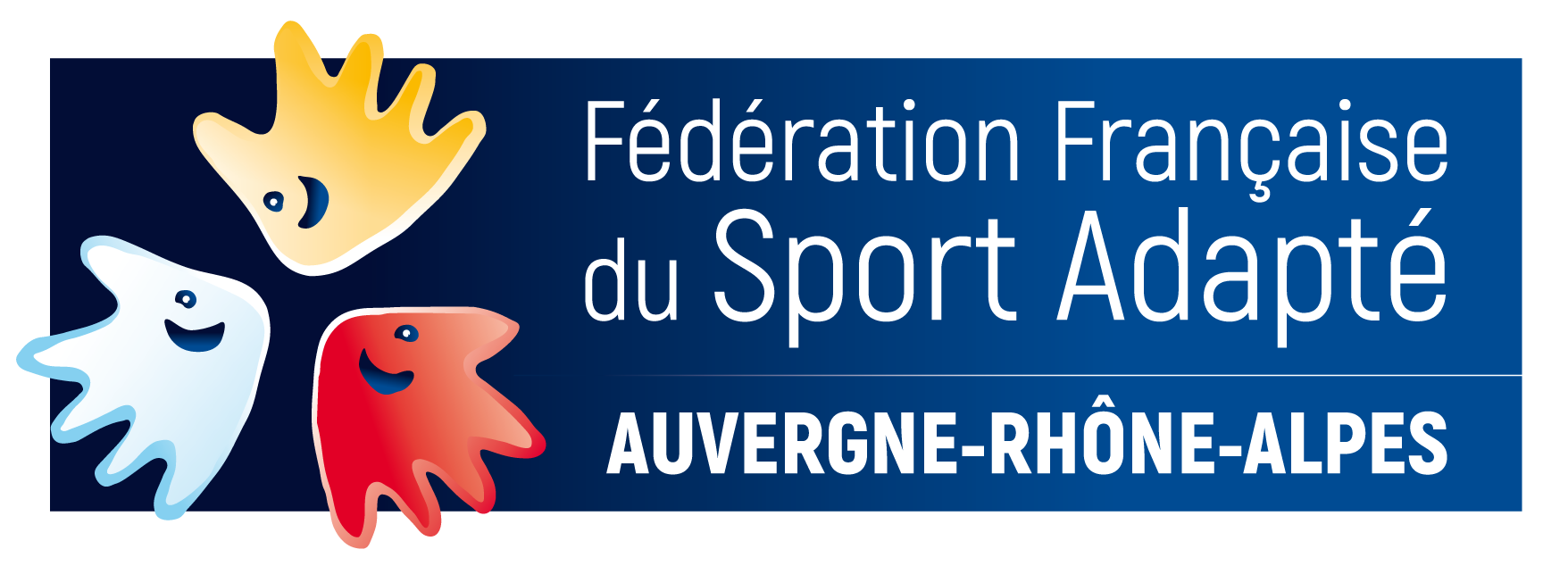 La Ligue Auvergne-Rhône-Alpes du Sport Adapté recrute un.e chargé.e de communication en alternance à Lyon (69)