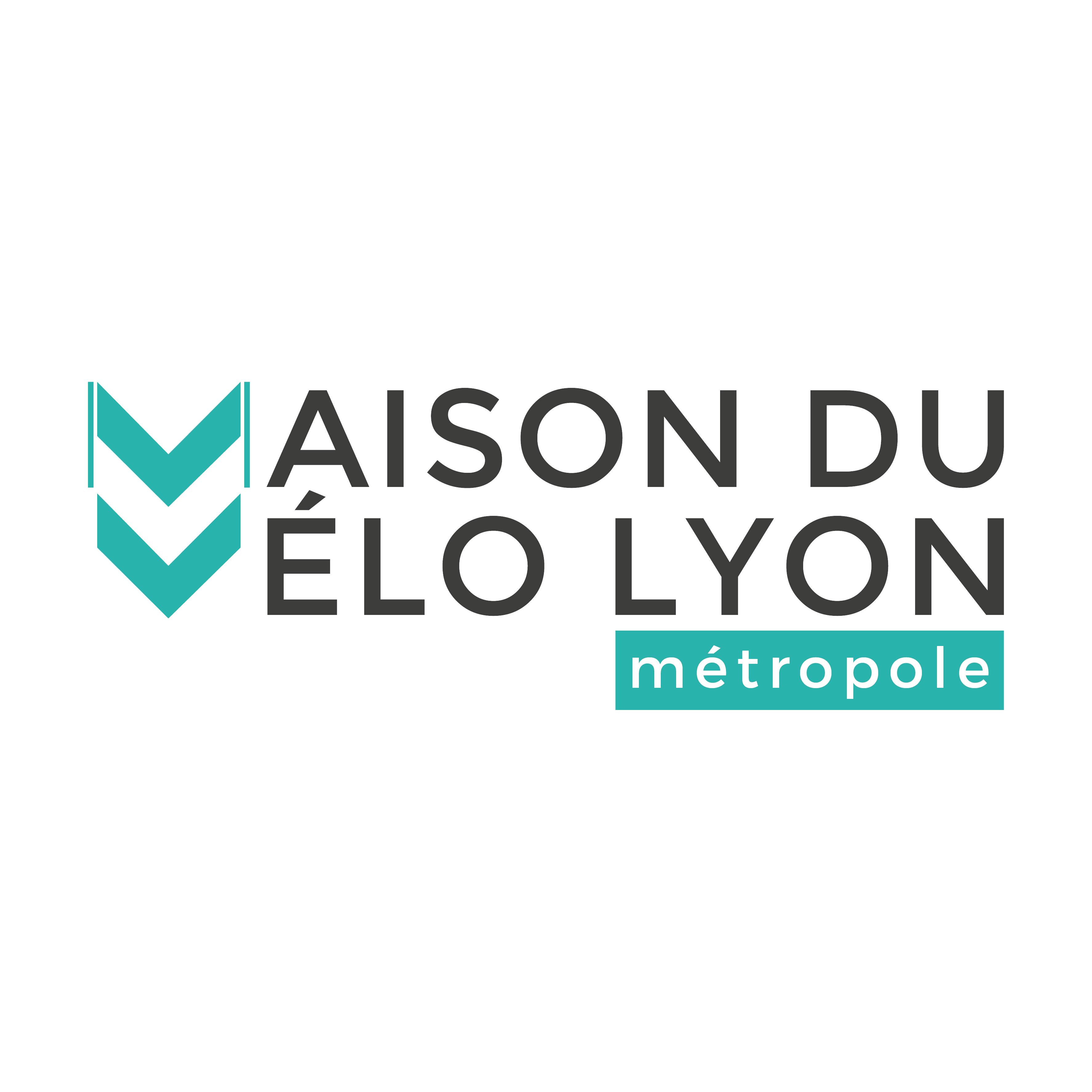 Directeur / Directrice – CDI – H/F – Lyon – Rhône (69)