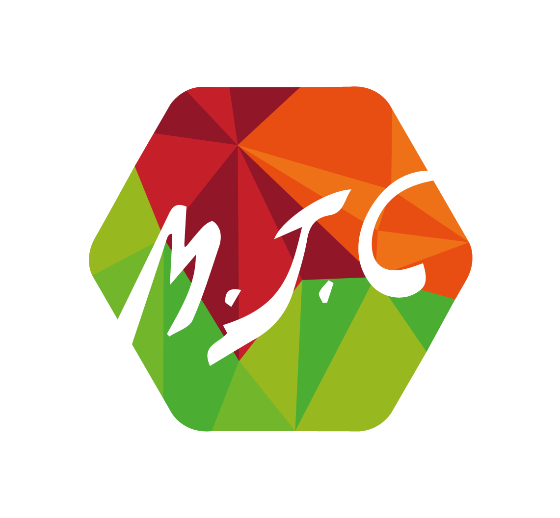 La  MJC Saint Martin en Haut recrute un·e Animateur·rice 11/13 ans – Saint Martin en Haut (69) – CEE