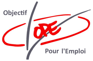 Chargé.e de projet orientation/mixité H/F – CDI – H/F – 69008 lyon – Rhône (69)