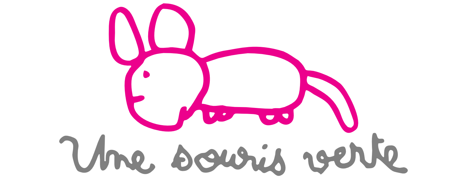 Une Souris Verte recrute un·e chargé·e de communication – CDI – Lyon (69)