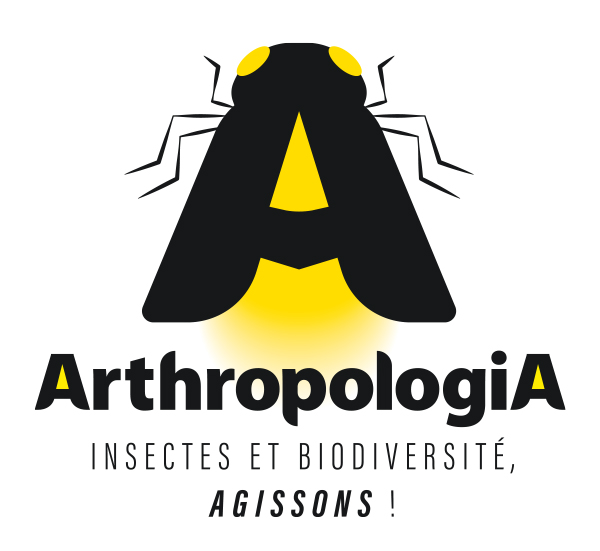 Arthropologia recrute un·e Coordinateur·rice des activités de sensibilisation – La Tour de Salvagny (69) – CDI