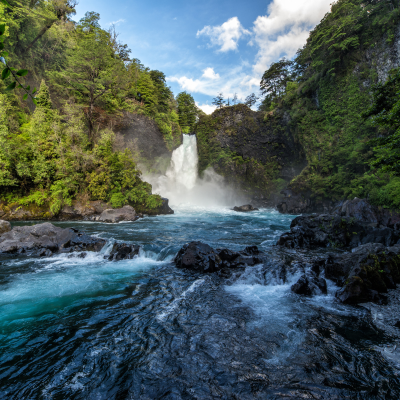 Biodiversité : Comment l&rsquo;enseigner et sensibiliser de jeunes publics ?