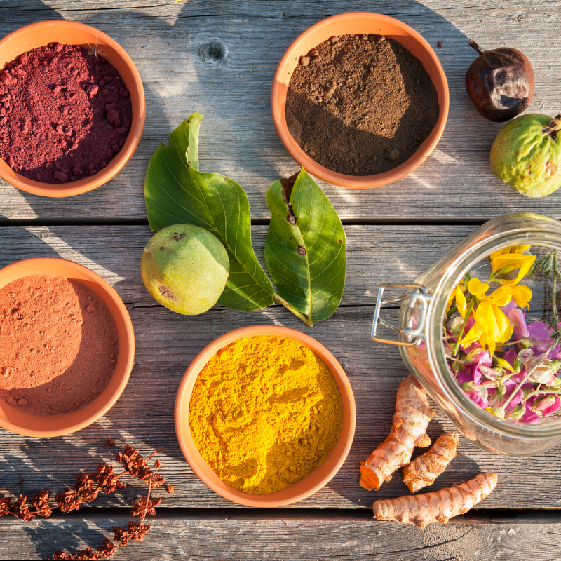 De la botanique à la teinture textile : teindre avec les ressources de sa région