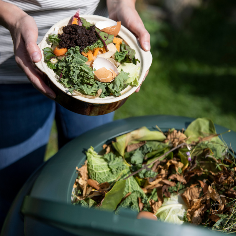 Le gaspillage alimentaire : comprendre et devenir acteur du changement