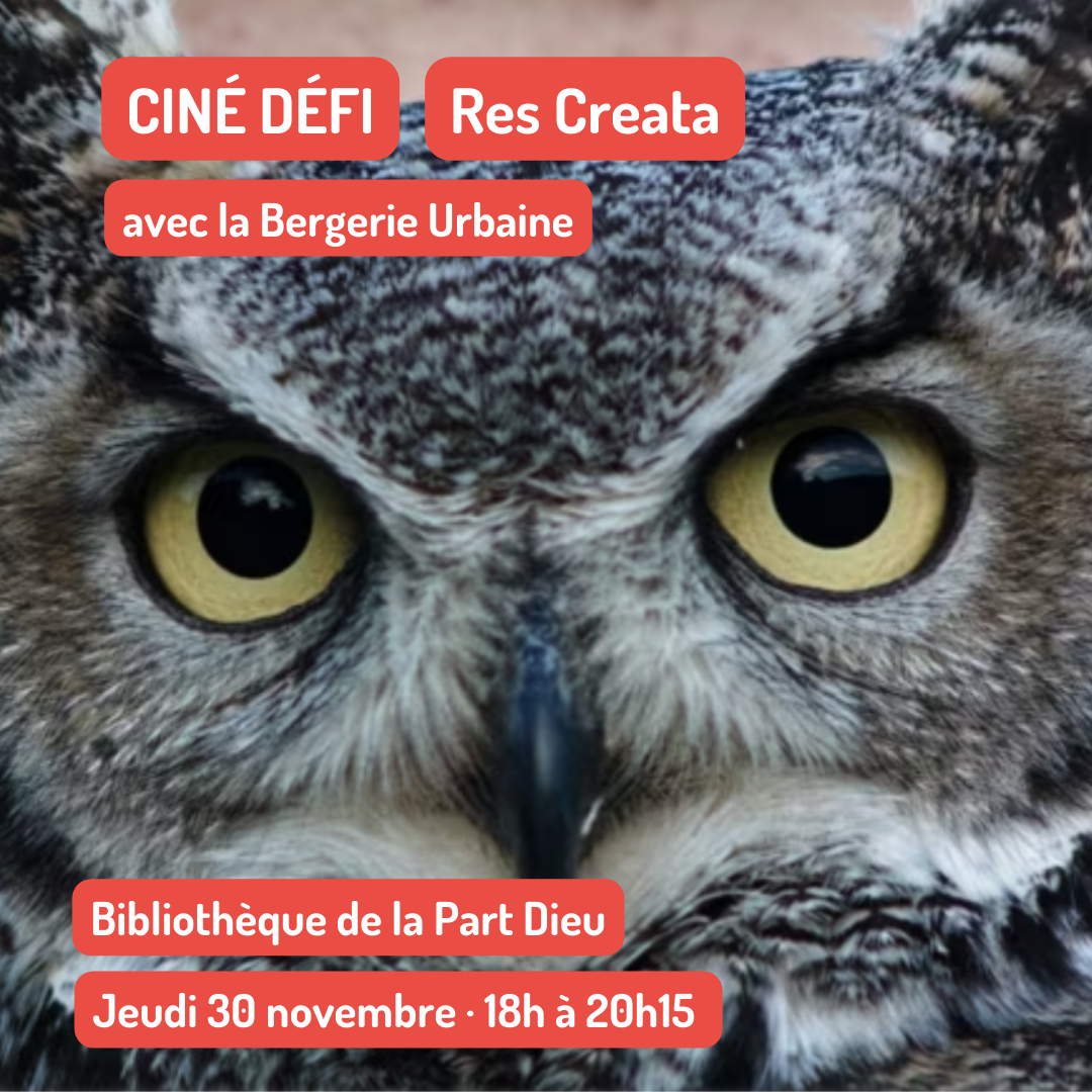 Ciné défi · Res Creata à la Bibliothèque de la Part Dieu