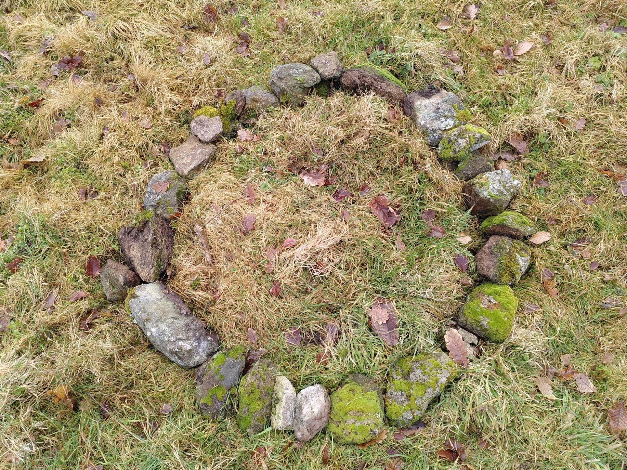 Chantiers participatifs pour ouverture d&rsquo;école en forêt  – Saint-Martin-en-Haut (69)