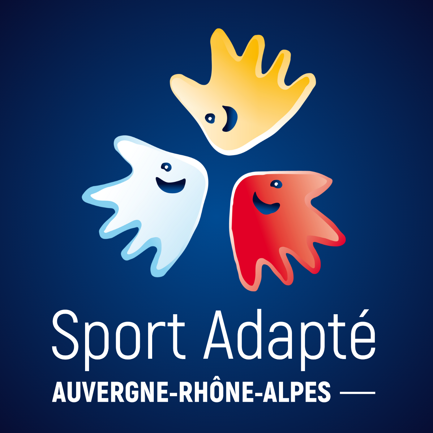 La Ligue Auvergne-Rhône-Alpes du Sport Adapté recrute un.e chargé.e de communication – Alternance – Voiron (38)
