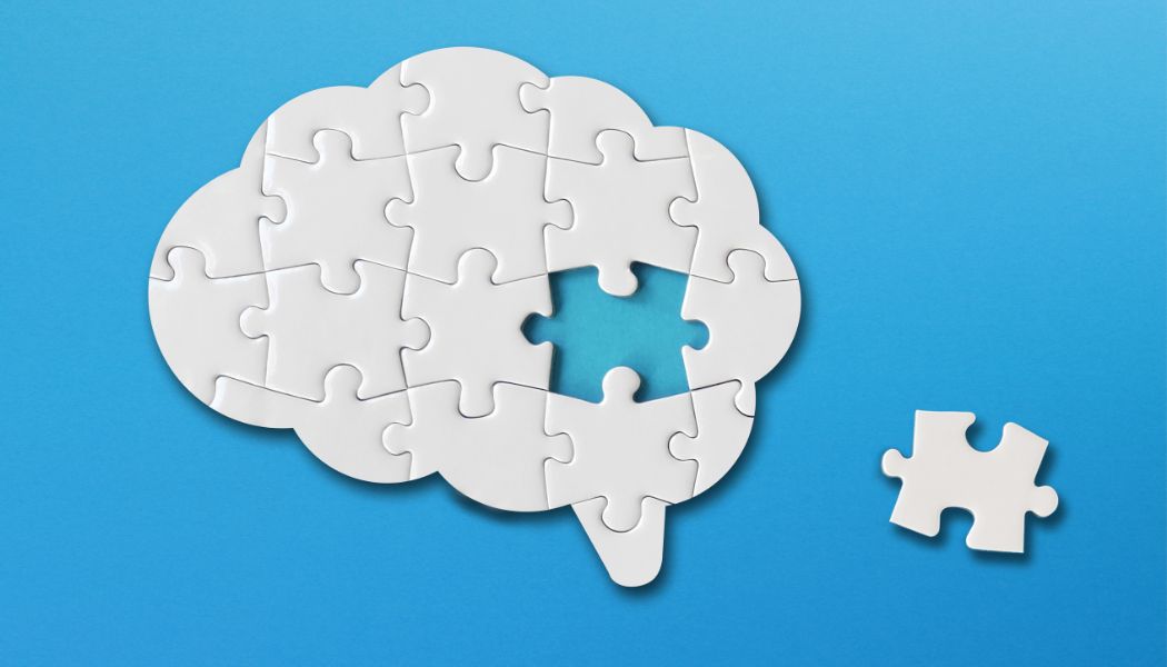 L&rsquo;architecture du cerveau