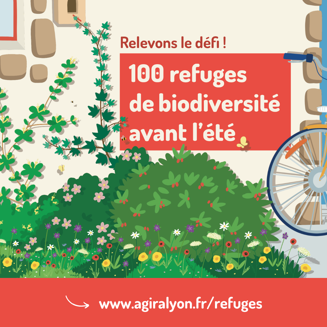 C&rsquo;est parti pour le Défi « 100 refuges de biodiversité avant l&rsquo;été » !